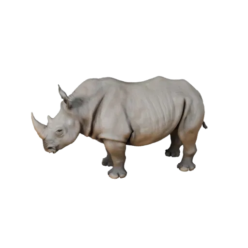 Modelo 3D realista de rinoceronte blanco, render de vida silvestre en vista lateral, activo de animal listo para animación co