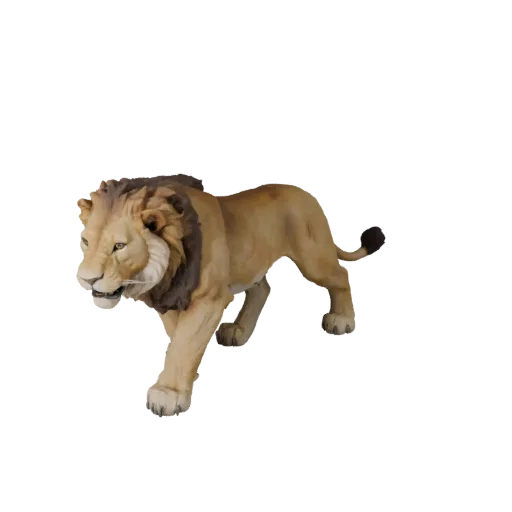 Modello 3D Leone, vista laterale telecamera gameplay, asset animale pronto per Unity con muso affusolato, scapole, movimento
