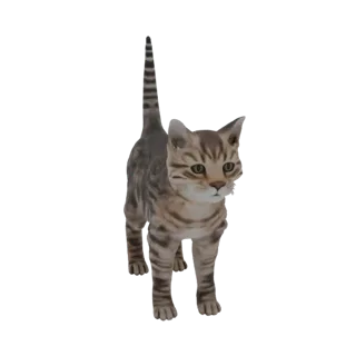 A 3D render of a cute tabby kitten standing on a white background, looking forward with its tail held high.