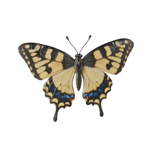 Realistic Swallowtail Butterfly 3D Model - PBR Asset fors | PBR