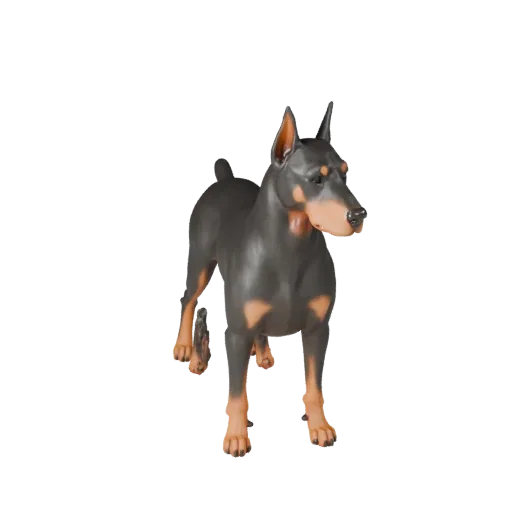 Modelo 3D STL de Cão Doberman Pinscher de Alta Poligonalidade, vista de exibição isométrica, figura animal pronta para impres