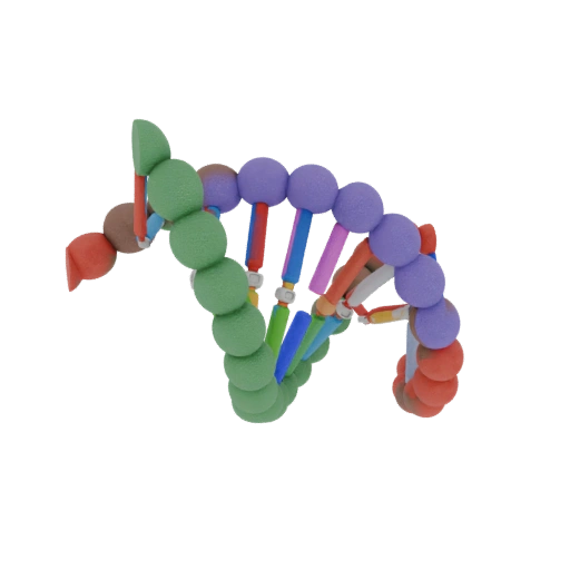 Protein DNA Helix 3D Model for Cinematic Animation