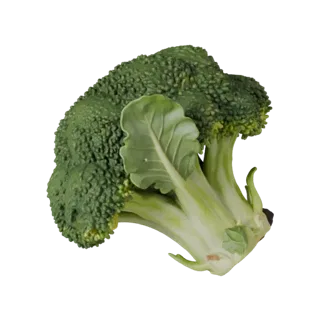Chopped Broccoli Head 3D Asset for Studio Catalogs