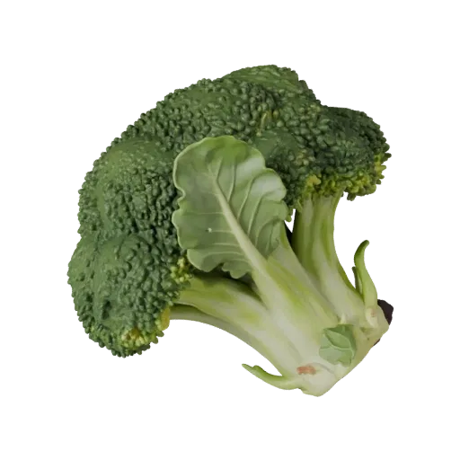 Chopped Broccoli Head Product Viz 3D model, three-quarter studio product render, showing leaf veins, form detail.