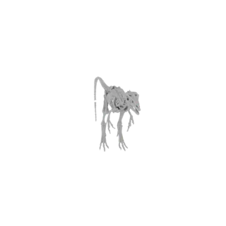 A detailed 3D model render of a complete dinosaur skeleton, presented in white against a black background.