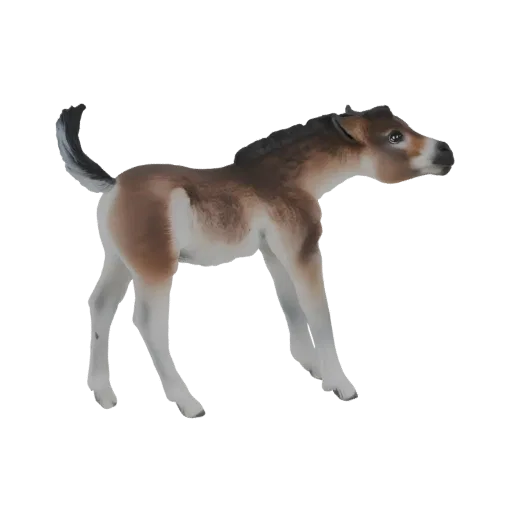 3D model of a Przewalski's horse foal standing with its head turned slightly to the right, showcasing its brown and white coa