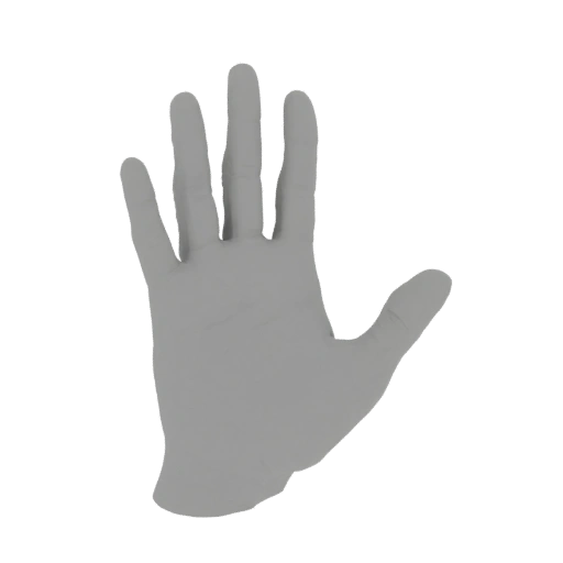 Gray Hand 3D Model