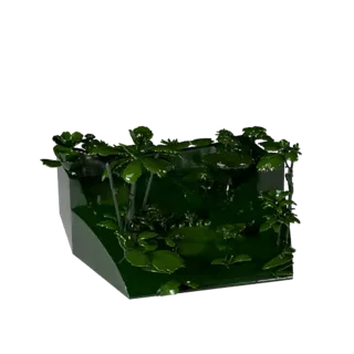 Tropical Jungle Biome Unreal 3D Asset for Game Levels