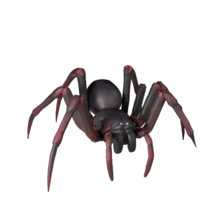 Black Widow Spider 3D Model for Unity - Game Ready Asset, FBX