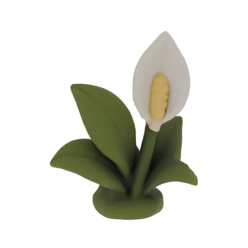 A 3D model of a stylized peace lily flower with green leaves and a white spathe, presented on a white background.