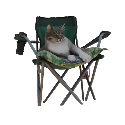 Relaxed Cat in Camping Chair