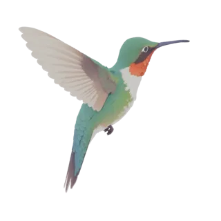 A 3D model of a Ruby-Throated Hummingbird in mid-flight, with its wings spread and iridescent green and red plumage visible a