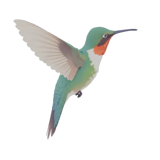 A 3D model of a Ruby-Throated Hummingbird in mid-flight, with its wings spread and iridescent green and red plumage visible a
