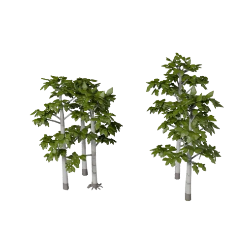 Birch Grove Set Low Poly 3D model, game viewport three-quarter view, showing leaf clusters, layered vegetation clusters.