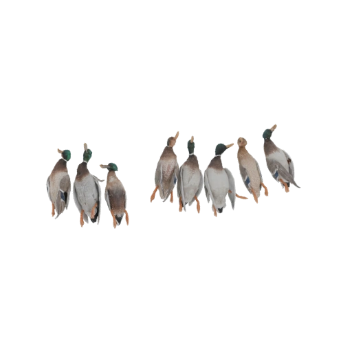 Mallard Duck Decoy Set