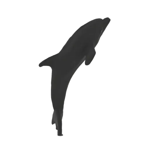 A 3D model of a black dolphin leaping out of the water, captured mid-air with its body arched.
