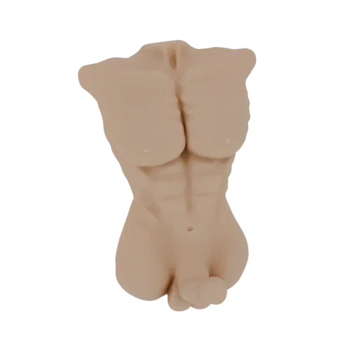 3D model of a realistic male torso with defined abdominal muscles, presented against a black background.