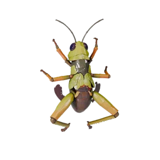 Realistic Grasshopper 3D Model - Rigged PBR Asset for Games
