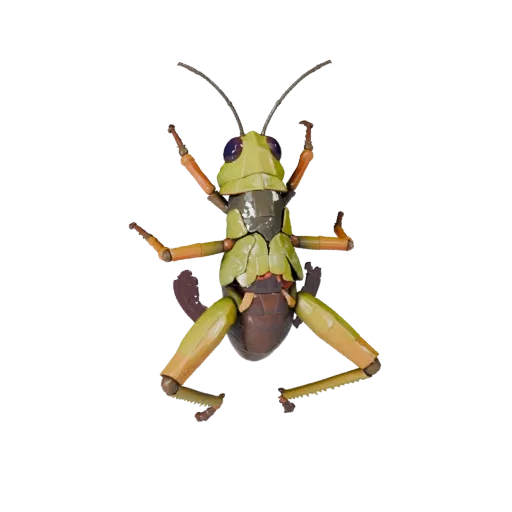 Modèle 3D réaliste de sauterelle, rendu de la faune de profil, actif animal stylisé avec séparation du thorax, rythme des mem