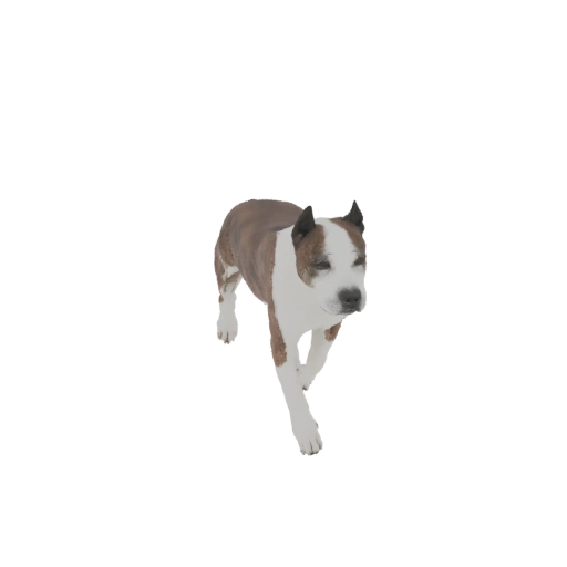 American Staffordshire Terrier 3D Model