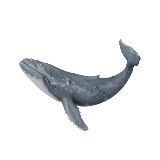 Modelo 3D de Baleia Azul, render de vida selvagem em vista lateral, asset de animal pronto para Blender com detalhe de superf