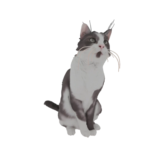 Sitting Cat 3D Model