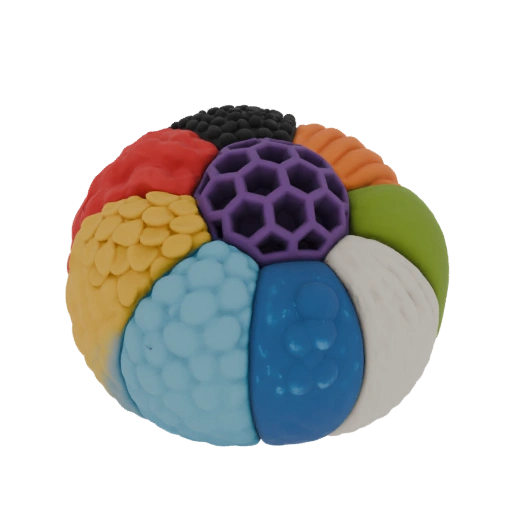Sensory Ball with Textured Segments