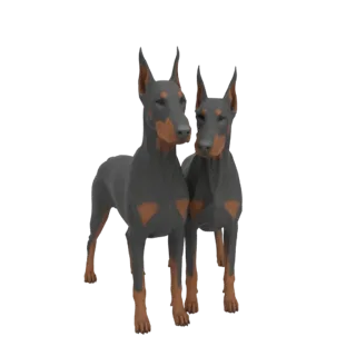 A 3D render of two Doberman Pinscher dogs standing side-by-side against a white background.