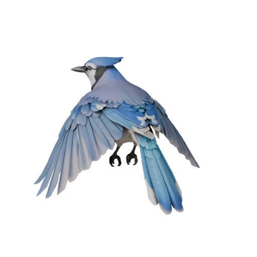 Blaukrähe 3D-Modell, Seitenansicht Wildtier-Rendering, Blender-fertiges Tier-Asset mit Schwanzfächer-Aufteilung, Schnabelmate