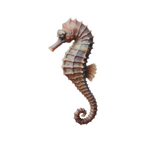 Modello 3D Cavalluccio Marino High Poly - Asset STL Dettagliato per la Stampa