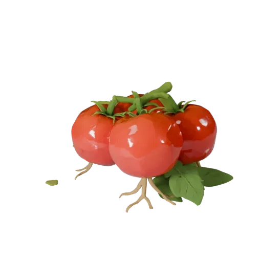 Garden Tomato Cluster Stylized 3D model, stylized isometric render, showing leaf veins, clear vegetable silhouettes.