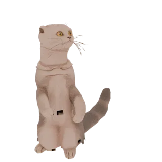 Modello 3D di un gatto Scottish Fold marrone chiaro in piedi sulle zampe posteriori, che guarda di lato con occhi gialli.
