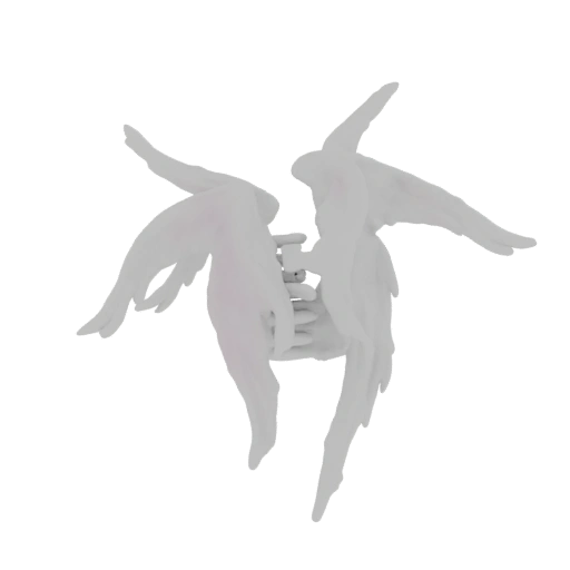 White Angel Wings