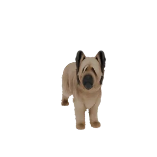 3D-Modell eines flauschigen beigen Hundes im Stehen, mit Schlappohren und freundlichem Gesichtsausdruck.