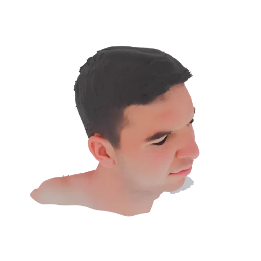 3D model of a male head bust in profile view, showing facial features and short hair, against a black background.