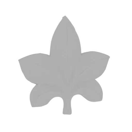 A 3D render of a stylized, light gray maple leaf against a black background, showcasing its smooth, embossed surface and eleg