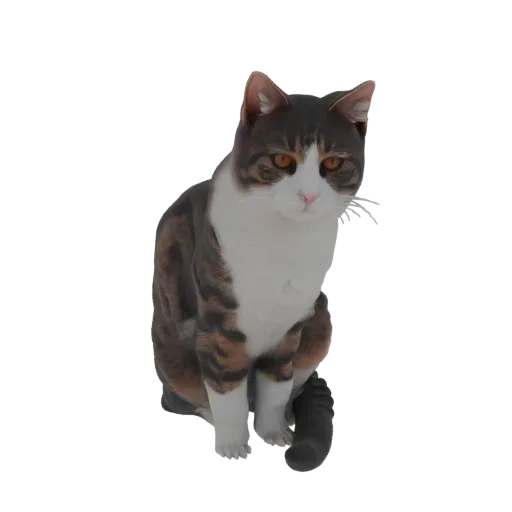 A 3D model of a calico cat sitting and looking forward, with white, brown, and black fur.