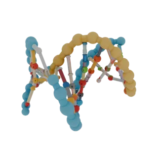 Organic DNA Helix 3D Model for Cinematic Animation