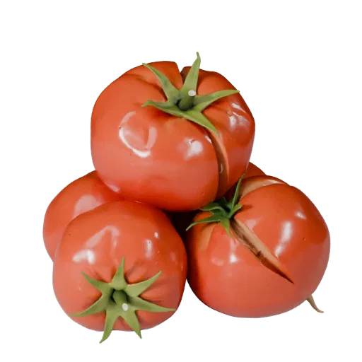Chopped Tomato Cluster High Poly 3D model, close-up studio render, showing leaf veins, clear vegetable silhouettes.