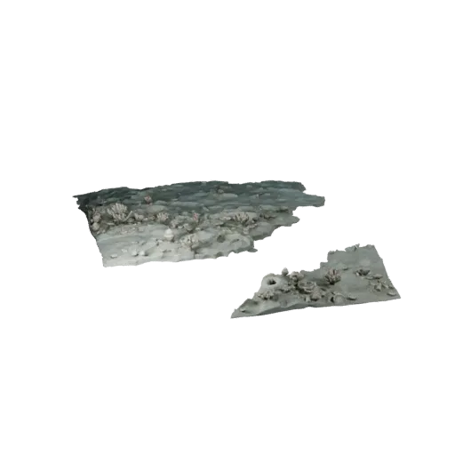 Coral Reef Water Base High Poly 3D model, close-up cinematic environment render, showing wet stone, water edges.
