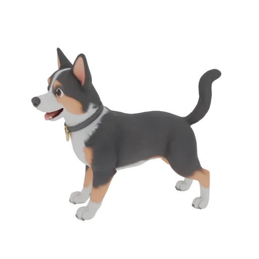 Modèle 3D Border Collie style cartoon, debout de profil sur fond noir