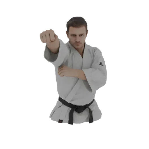 3D-Modell eines männlichen Karateka in weißem Gi und schwarzem Gürtel, der einen Vorwärtsschlag mit der ausgestreckten rechte