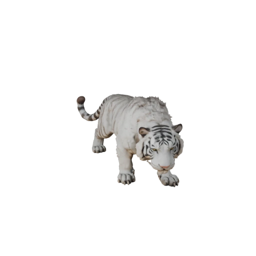 Modelo 3D Tigre Blanco para Unity - Asset Listo para Juego, FBX | PBR