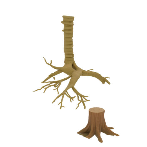 Tree trunk with roots and stump