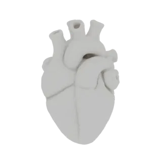 Un modello 3D dettagliato di un cuore umano, renderizzato in materiale bianco opaco neutro, che ne mostra la complessa strutt