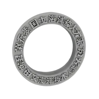 3D model of a ring with embossed inscription "Saint Petersburg State Marine Technical University" in Russian.