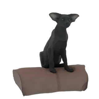 3D model of a dark Oriental cat with large ears sitting on a brown pillow, isolated on a white background.