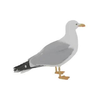 A realistic 3D model of a seagull standing on its webbed feet, with white and grey feathers and a yellow beak.