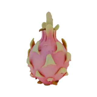 Modello 3D di frutto del drago rosa (pitaya) con squame verdi su sfondo bianco