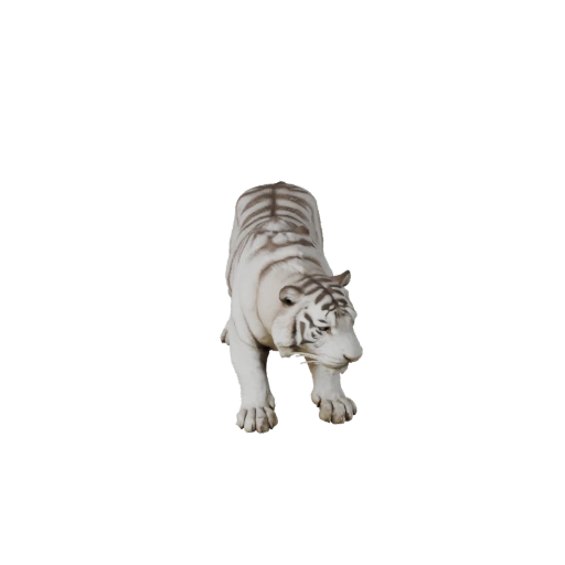 Modelo 3D Realista de Tigre Blanco - Activo PBR Riggeado para Juegos